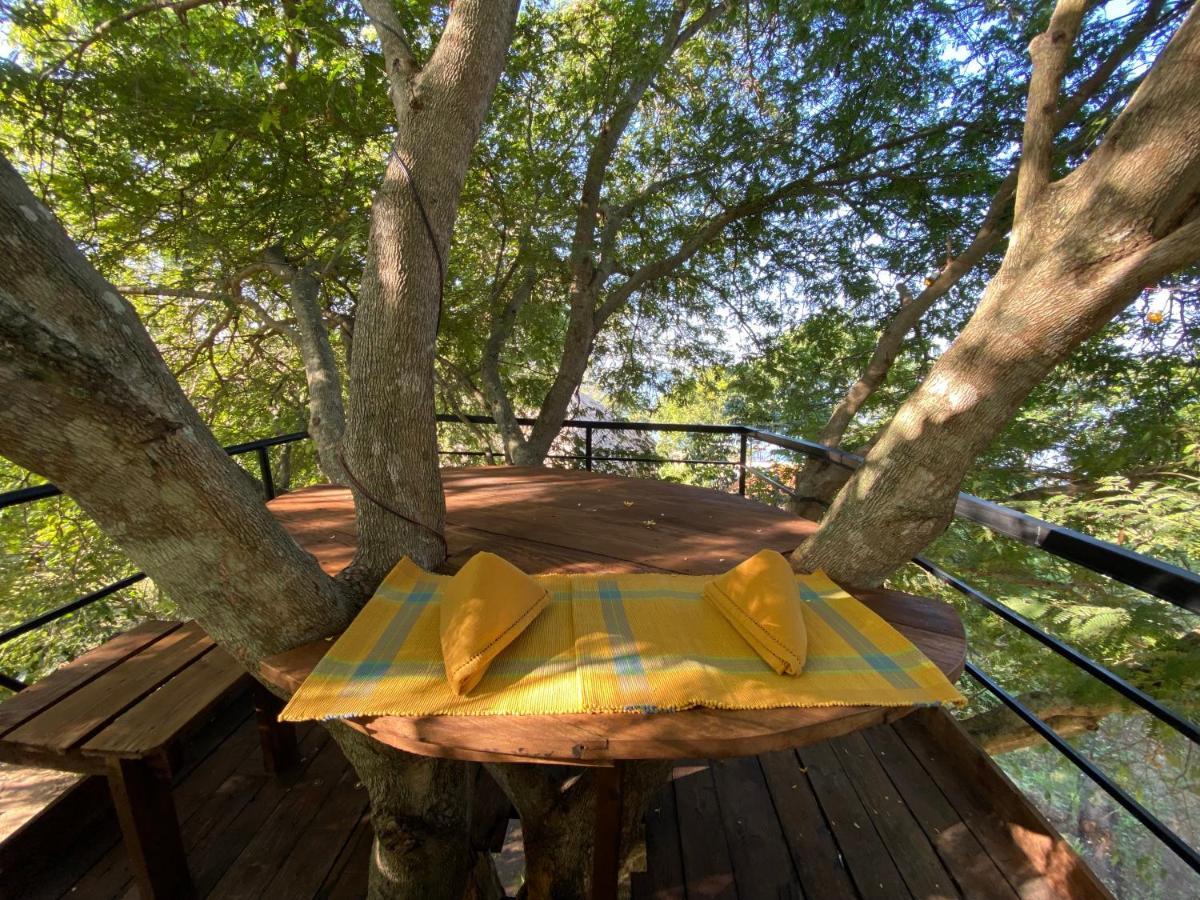 Yala Lake View Cabanas Tissamaharama Extérieur photo