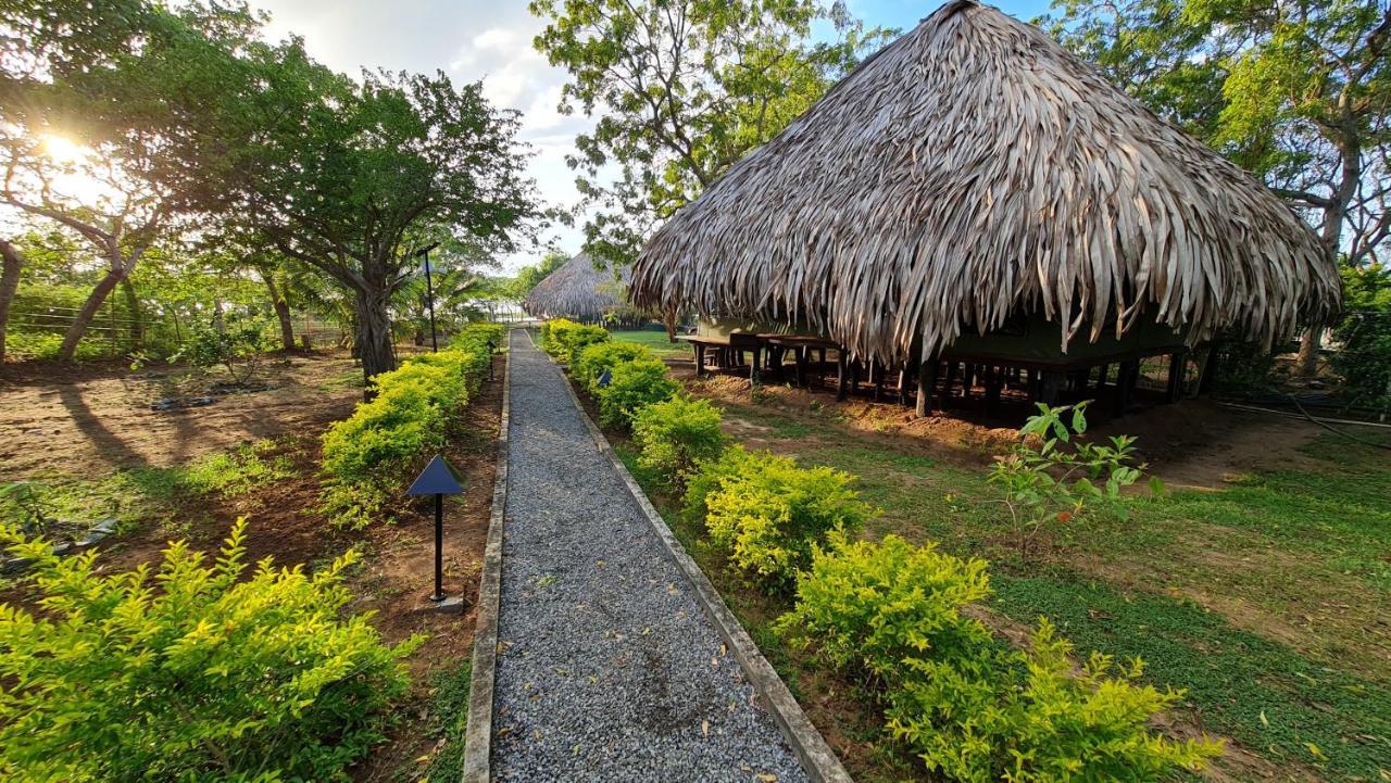 Yala Lake View Cabanas Tissamaharama Extérieur photo